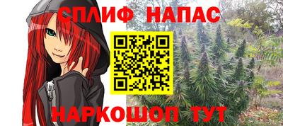 стаф Кунгур