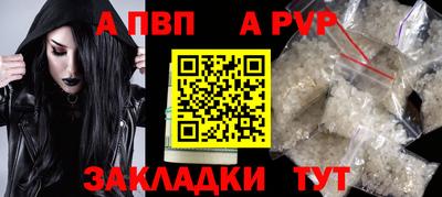 стаф Кунгур