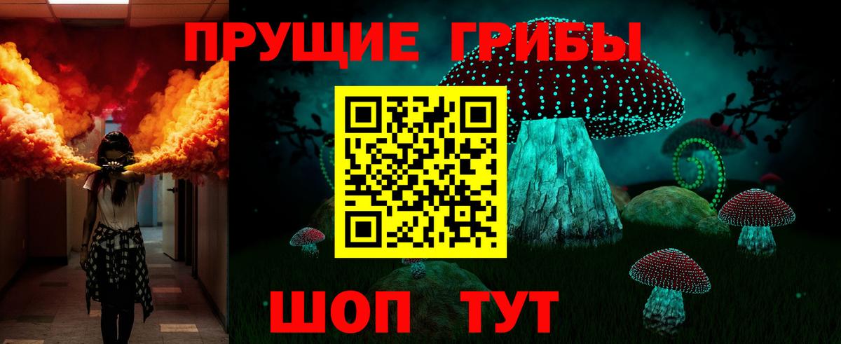 Псилоцибиновые грибы Cubensis Еманжелинск